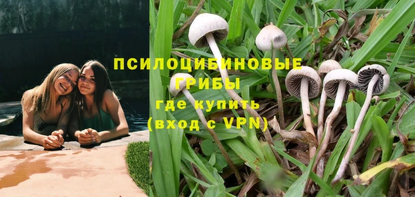 гидра Абинск