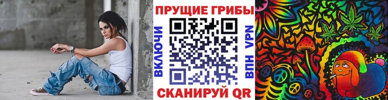 KRAKEN как войти  Чегем  Псилоцибиновые грибы MAGIC MUSHROOMS  даркнет сайт 